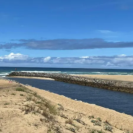 Tourterelles By Interhome Semesterbostad Mimizan-Plage