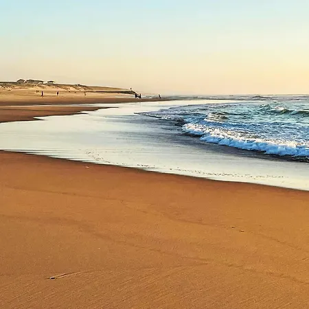 Tourterelles By Interhome Semesterbostad Mimizan-Plage