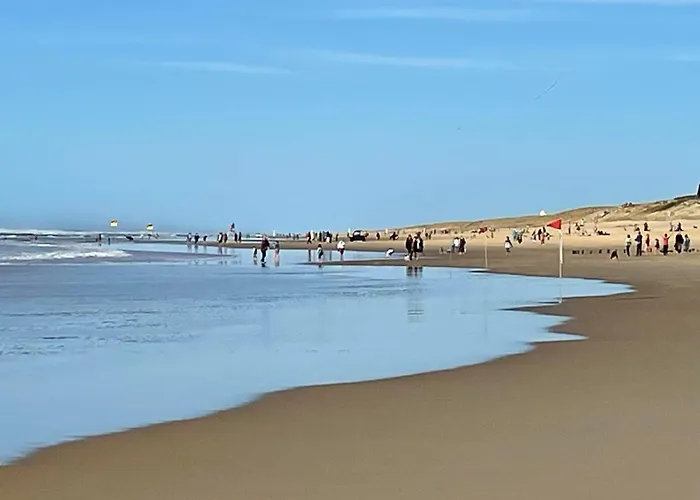 Tourterelles By Interhome Mimizan-Plage